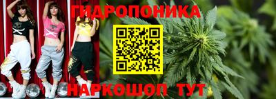 дмт Кингисепп