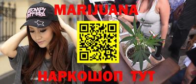 дмт Кингисепп