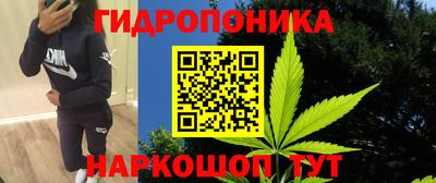 стафф Кинель