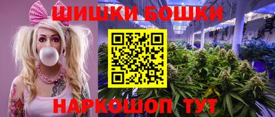 дмт Кингисепп