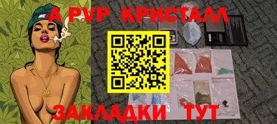 дмт Кингисепп