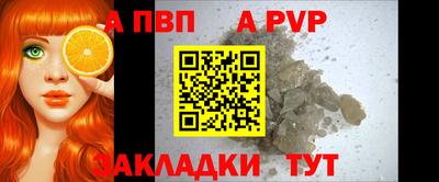 дмт Кингисепп