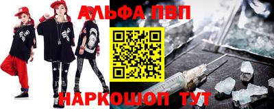 дмт Кингисепп