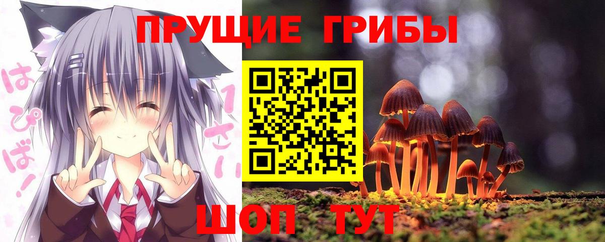 Галлюциногенные грибы Psilocybine cubensis  Вход с VPN  Янаул 